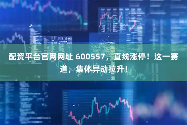 配资平台官网网址 600557，直线涨停！这一赛道，集体异动拉升！