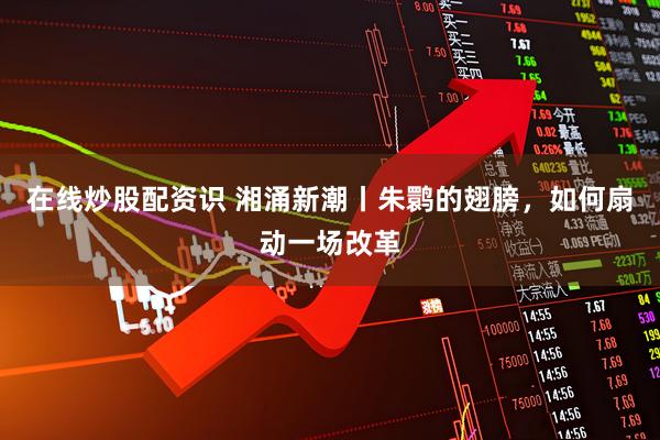 在线炒股配资识 湘涌新潮丨朱鹮的翅膀，如何扇动一场改革